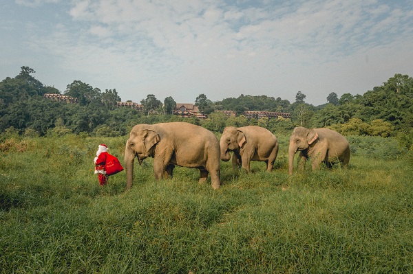 Anantara Santa Clause Christmas