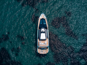 Why Wally’s New Wallywhy150 Yachts Makes First Appearance At Cannes Yacht Festival